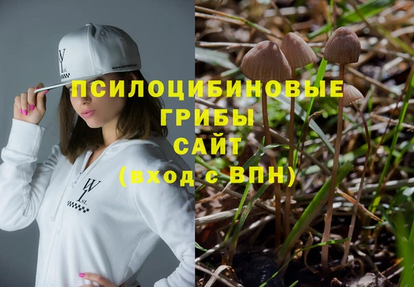 крисы Алексин