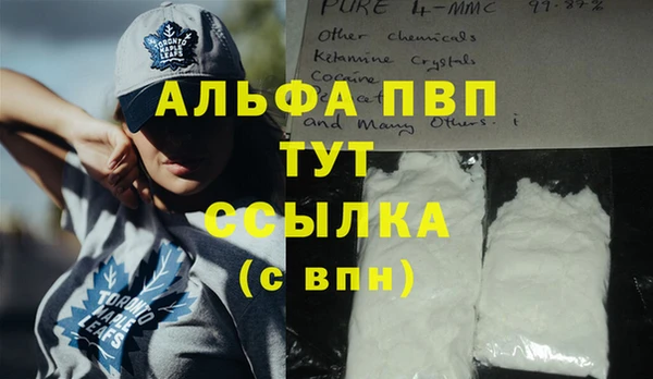крисы Алексин