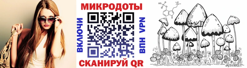 Галлюциногенные грибы прущие грибы  Спасск-Рязанский 